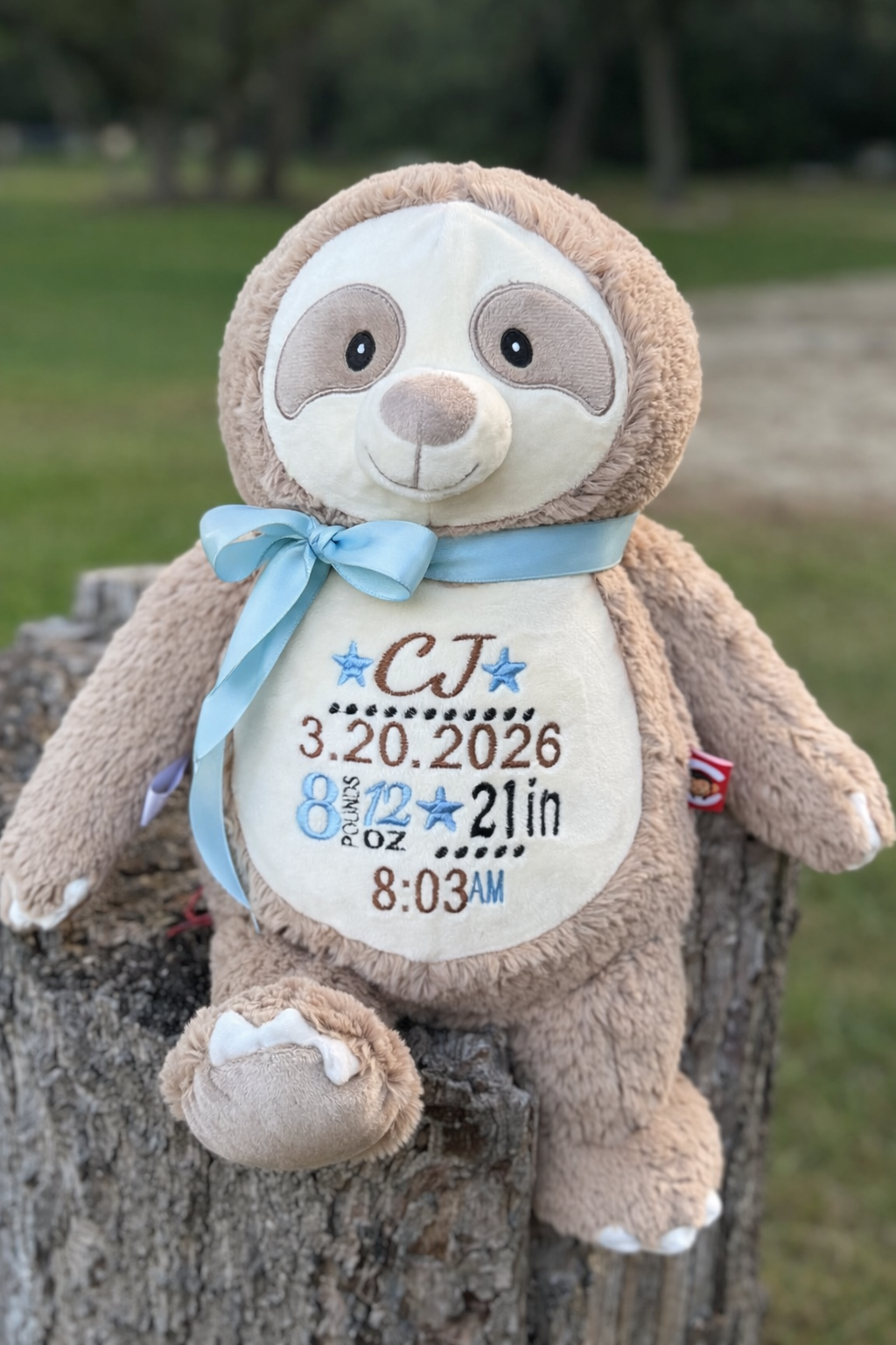 Personalized Plush Cubbies